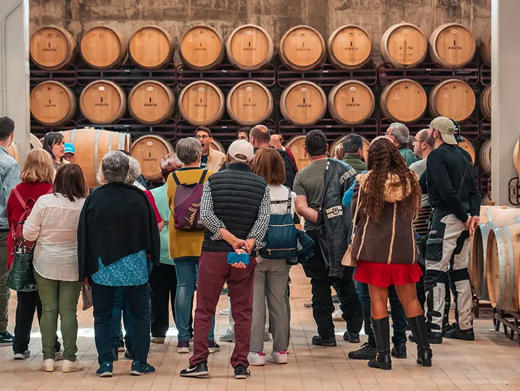 Bodega-Andres-Iniesta-·-Visita-Guiada-10