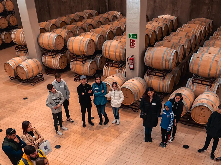 Bodega-Andres-Iniesta-·-Visita-Guiada-4