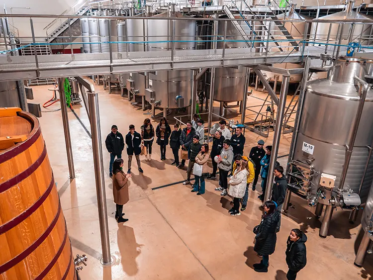 Bodega-Andres-Iniesta-·-Visita-Guiada-6